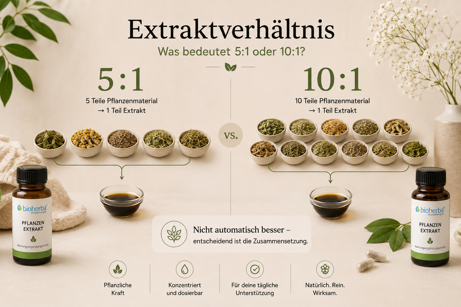 Was bedeutet Extrakt 5:1 oder 10:1?