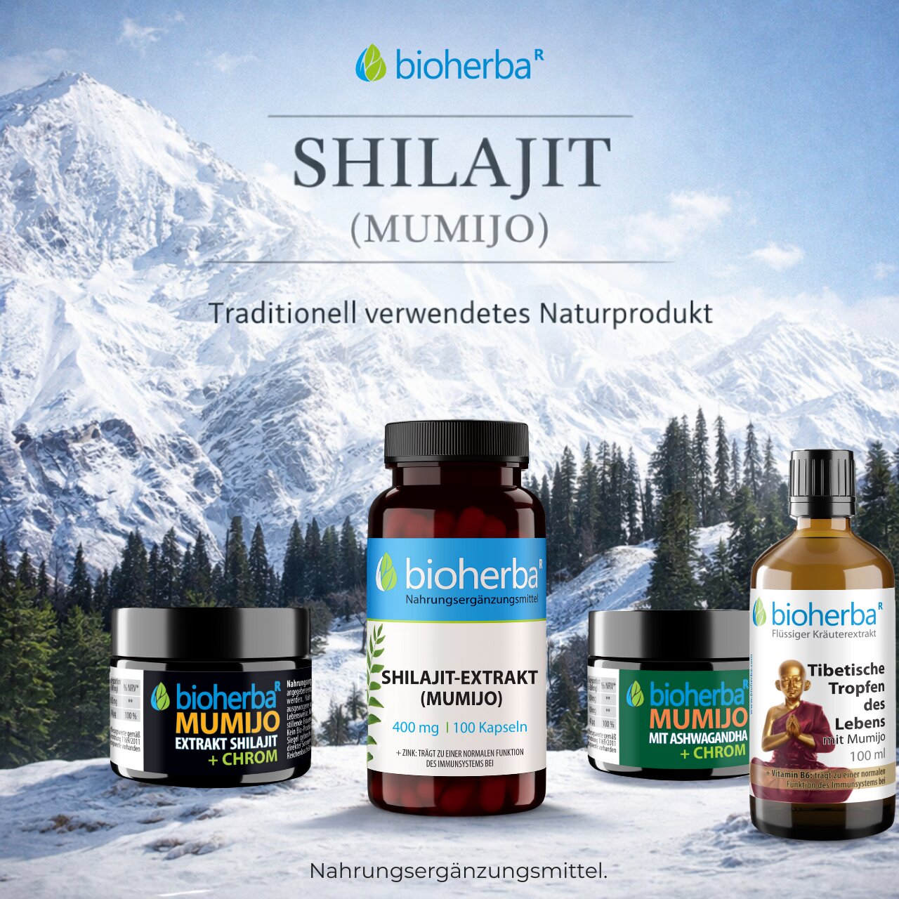 Mumijo (Shilajit): Was ist das und wie wird es eingenommen?