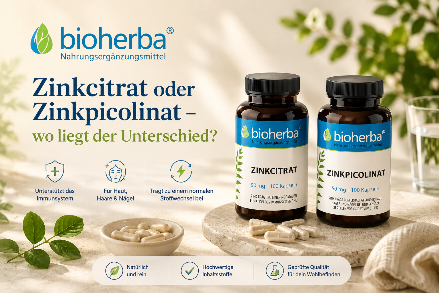Zinkcitrat oder Zinkpicolinat – wo liegt der Unterschied?