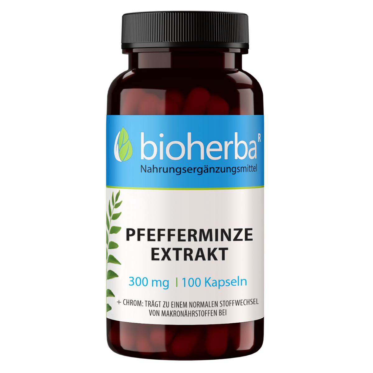 Pfefferminze Extrakt 300 mg 100 Kapseln