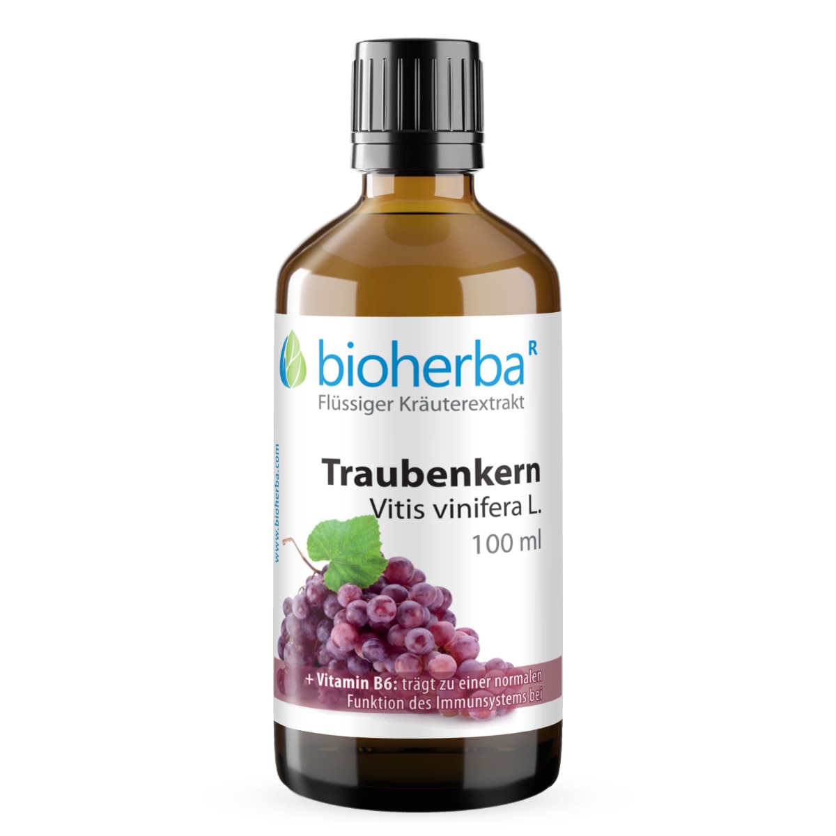 Traubenkern Vitis vinifera L. Tropfen Tinktur 100 ml