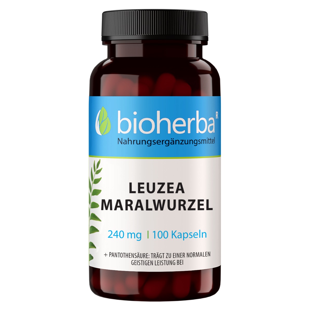 Leuzea Maralwurzel 240 mg 100 Kapseln