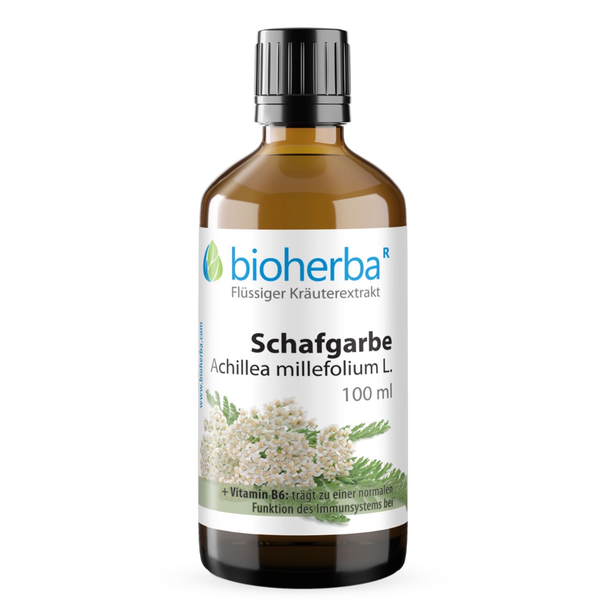 Schafgarbe Achillea millefolium L. 100 ml
