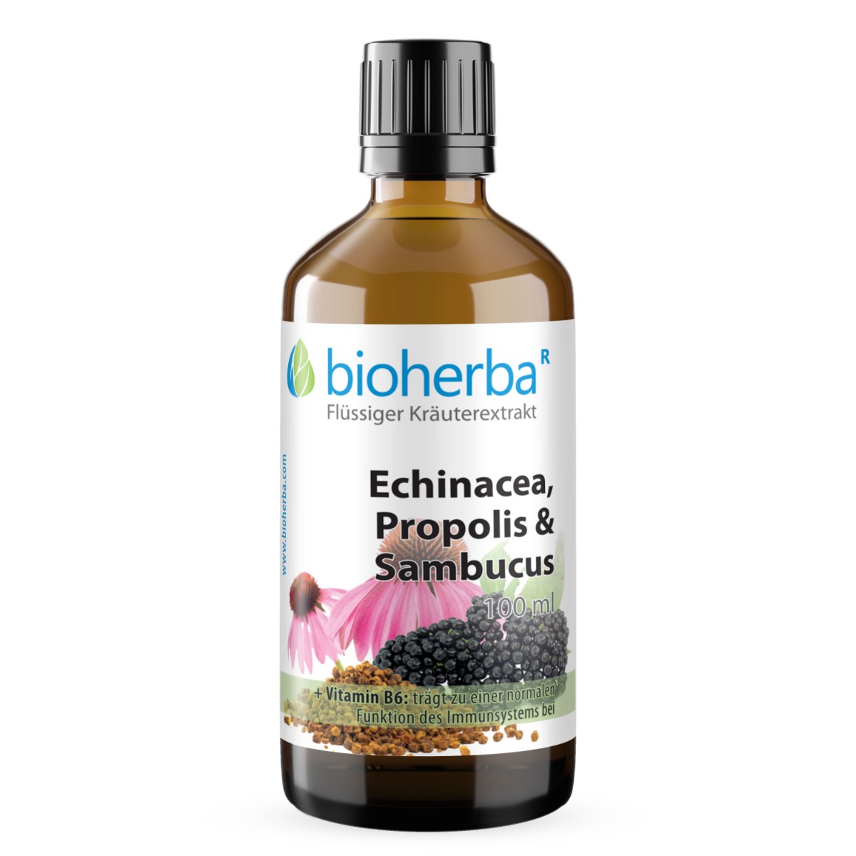 Echinacea Propolis und Sambucus Tropfen Tinktur 100 ml