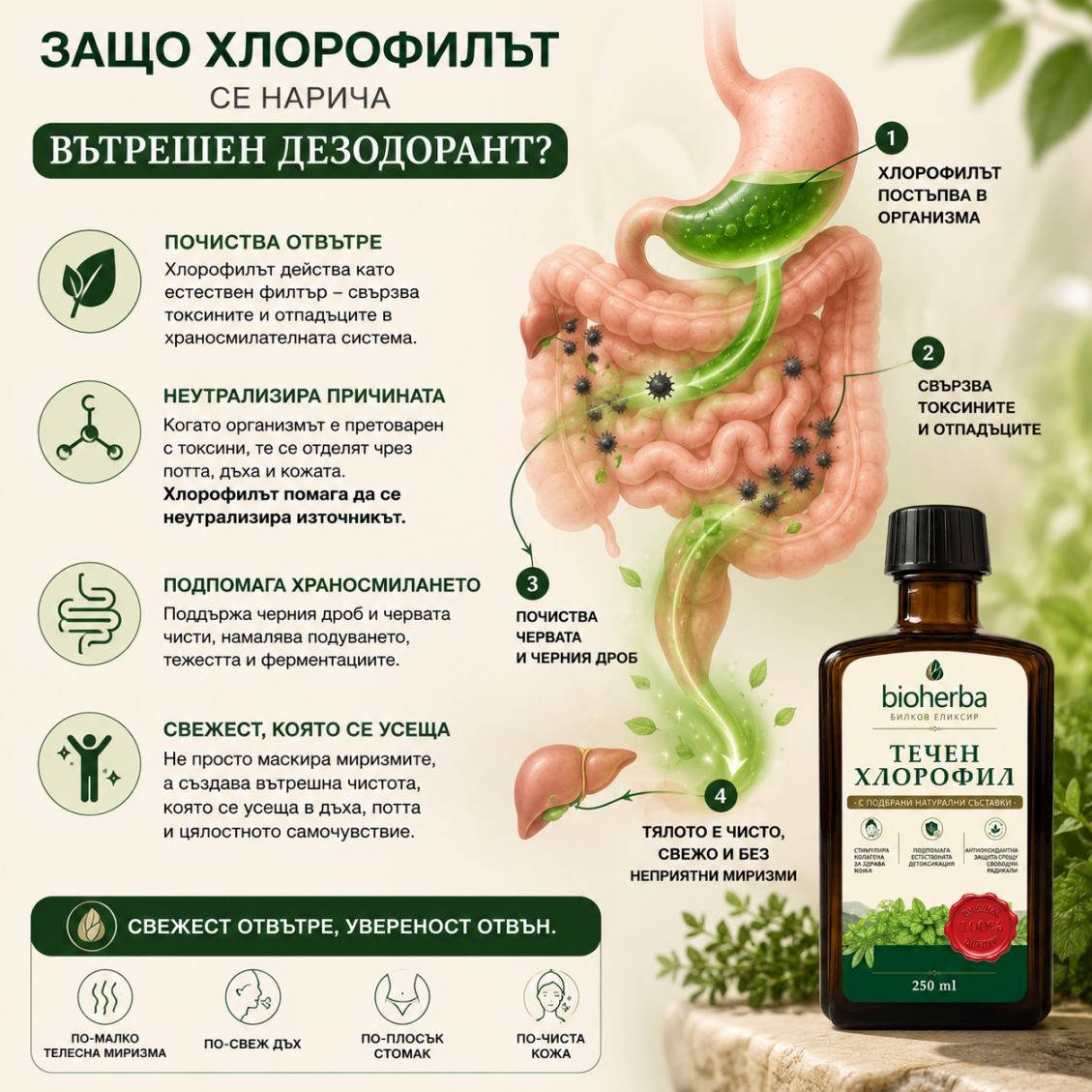 Clorofilă Lichidă Bioherba