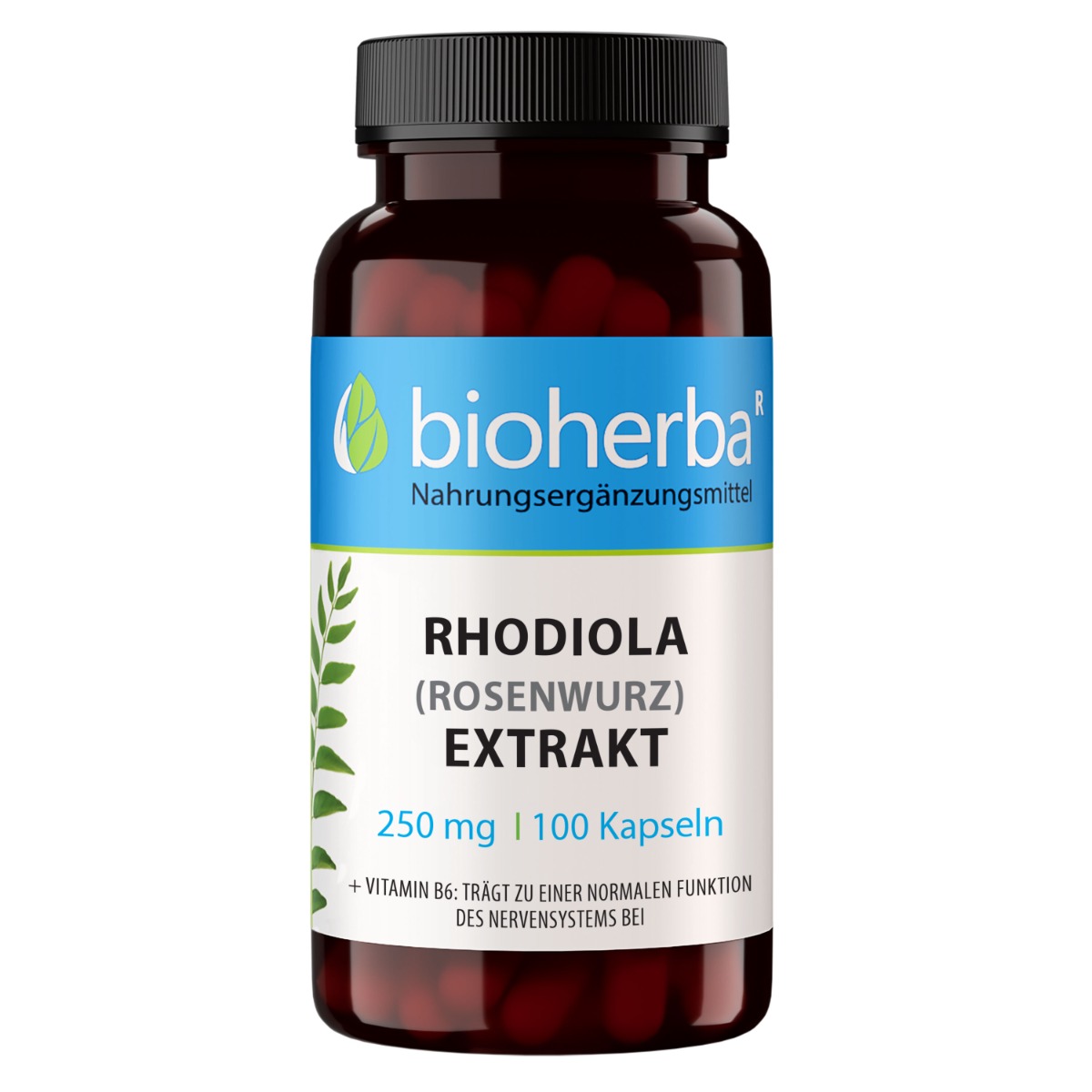 Rhodiola (Rosenwurz) Extrakt 250 mg 100 Kapseln