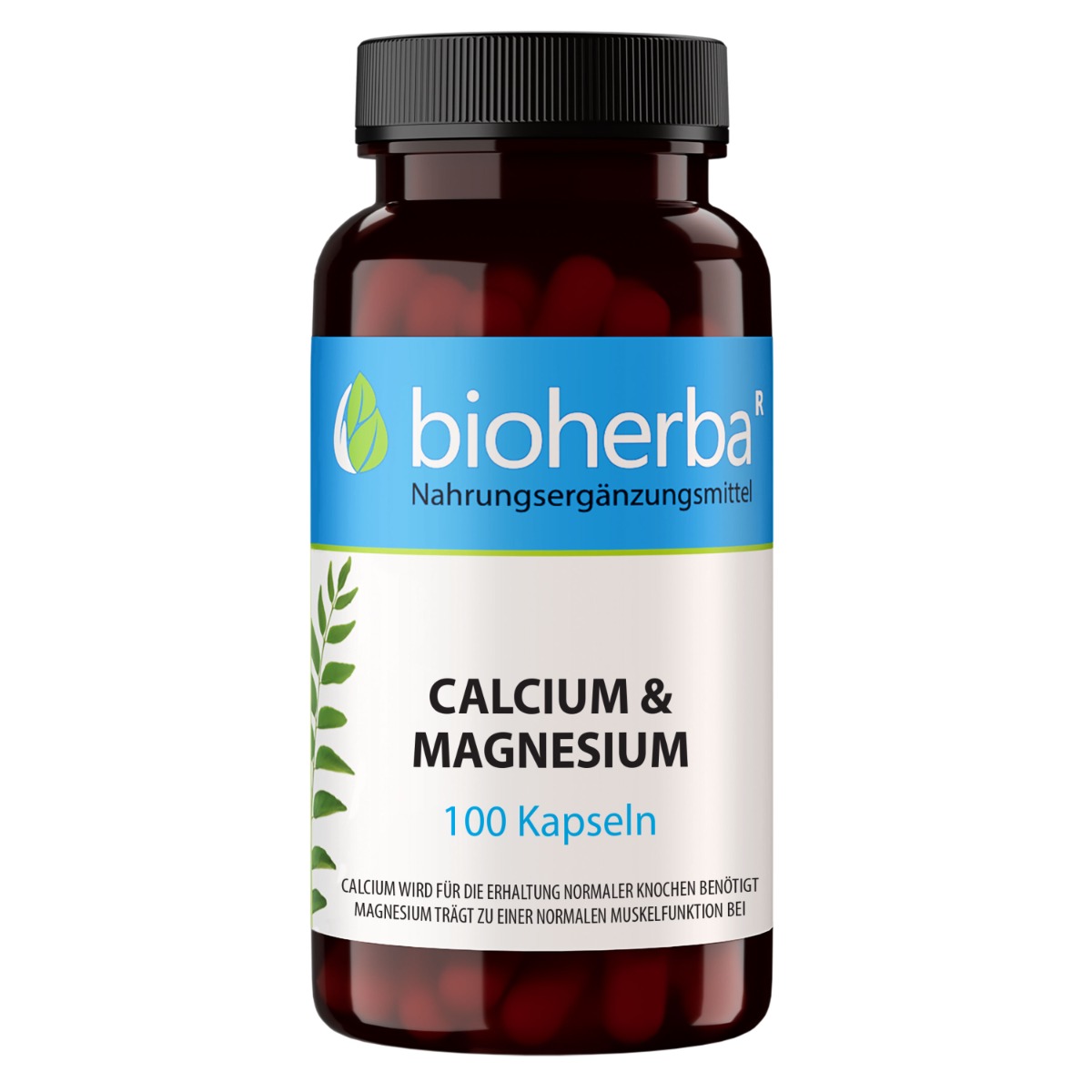 Calcium & Magnesium 100 Kapseln