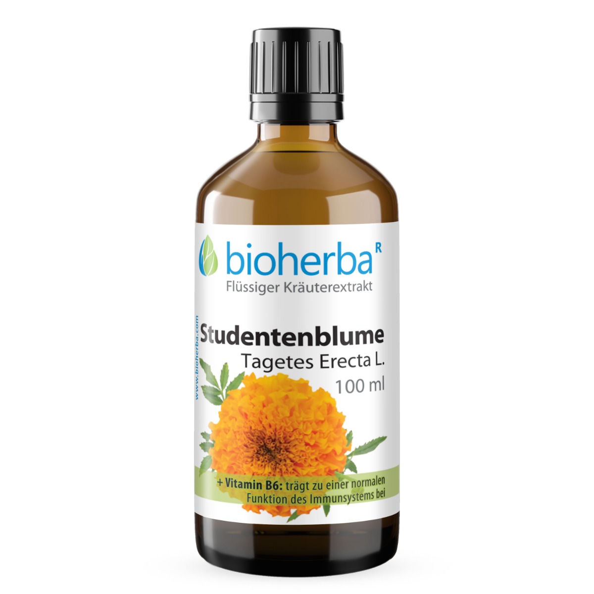 Studentenblume Тagetes Erecta L. Tropfen Tinktur 100 ml