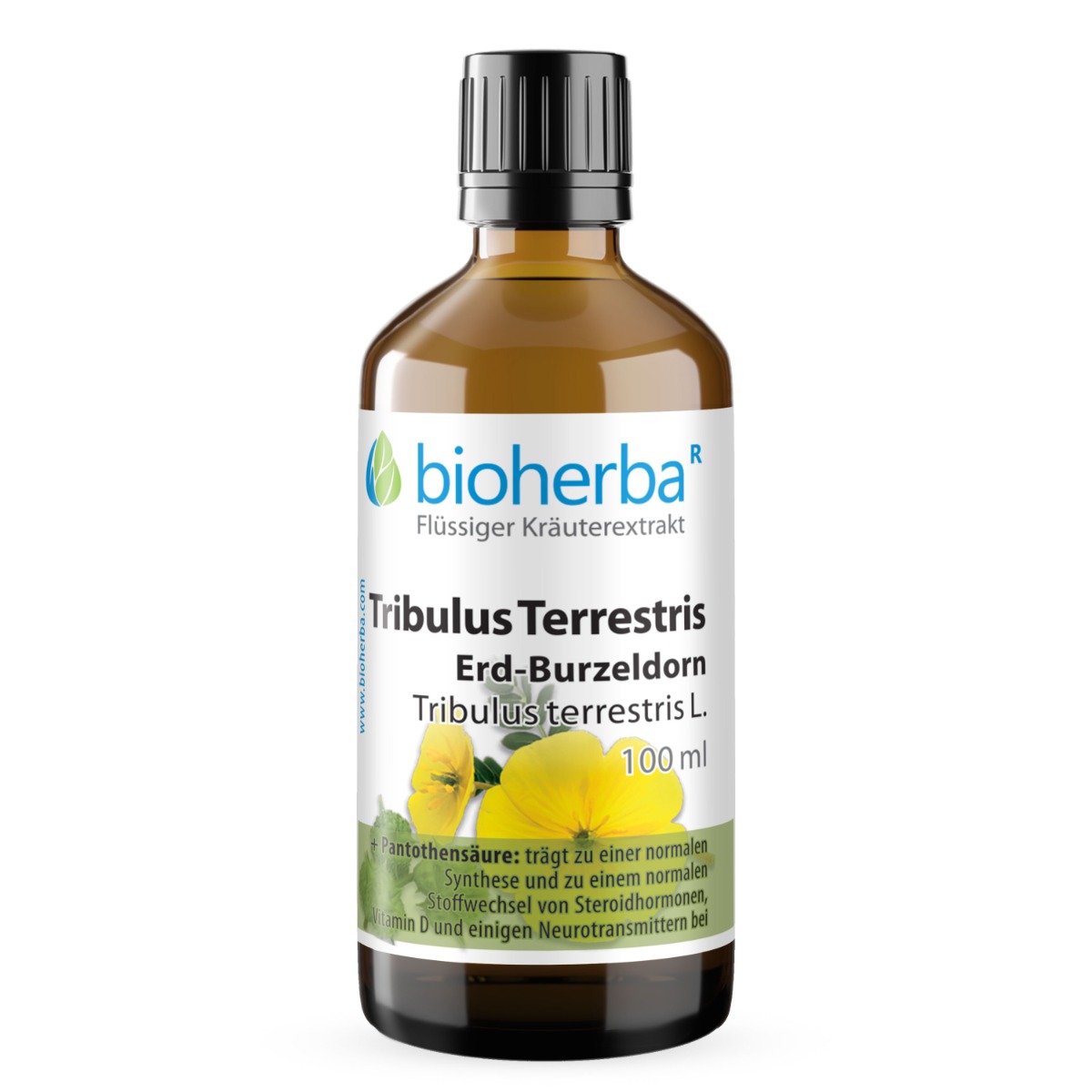 Tribulus Terrestris Erd-Burzeldorn Tropfen Tinktur 100 ml