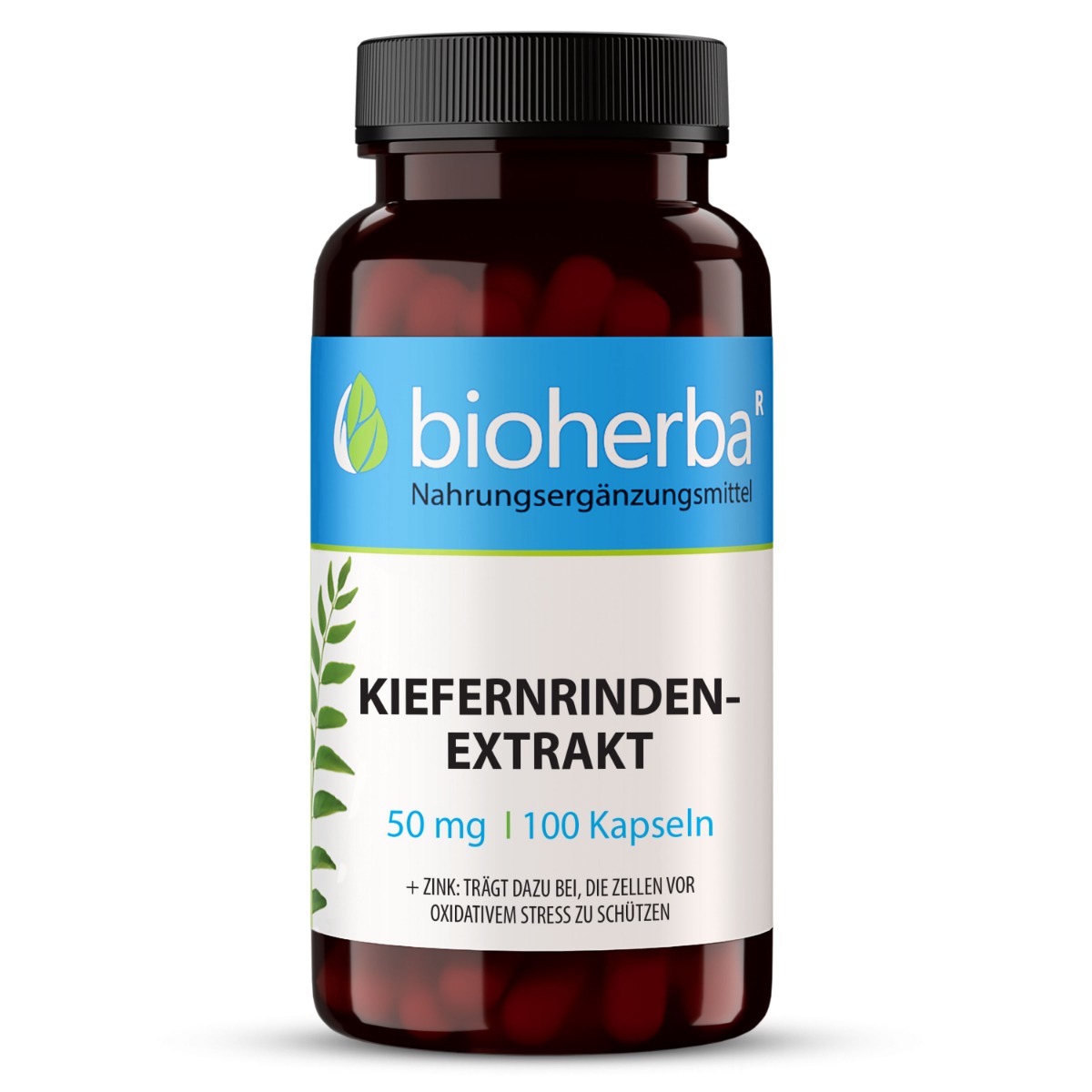 Kiefernrindenextrakt 50 mg 100 Kapseln