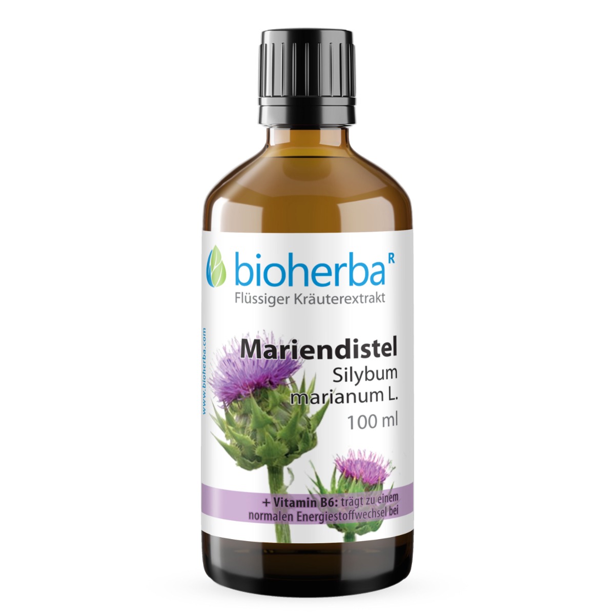 Mariendistel Silybum marianum L. Tropfen Tinktur 100 ml