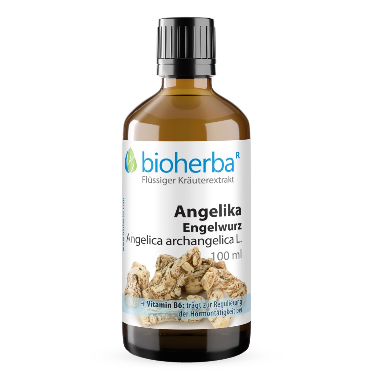 Angelika Engelwurz Tropfen Tinktur 100ml