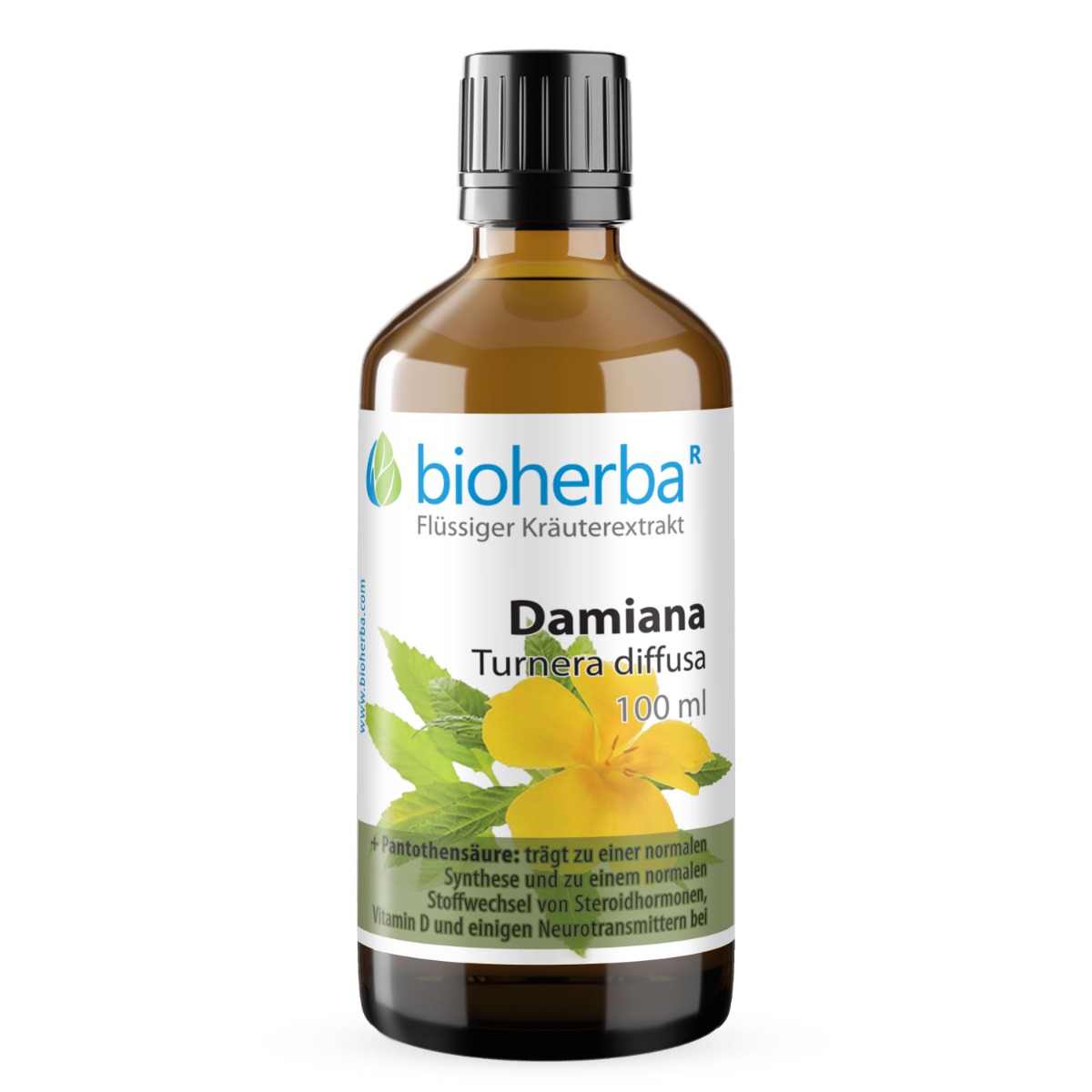 Damiana Turnera diffusa Tropfen Tinktur 100 ml