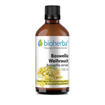Boswellia Weihrauch, Boswellia serrata, Tropfen, Tinktur 100 ml online kaufen, besten Preis, Bioherba Reichenbach GmbH 