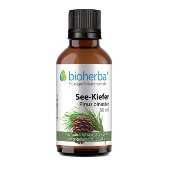 SEE-KIEFER Pinus pinaster 50 ml Bioherba Kraeuterextrakt