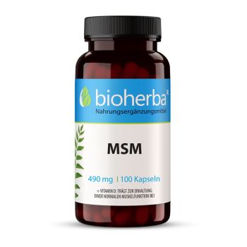 MSM 490 mg 100 Kapseln Bioherba Nahrungsergaenzungsmittel 