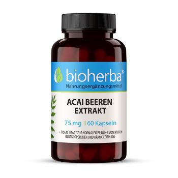 ACAI BEEREN EXTRAKT 75 mg 60 Kapseln Bioherba Nahrungsergänzungsmittel