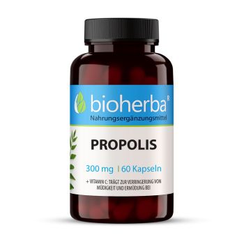 PROPOLIS 300 mg 60 Kapseln Bioherba Nahrungsergaenzungsmittel 