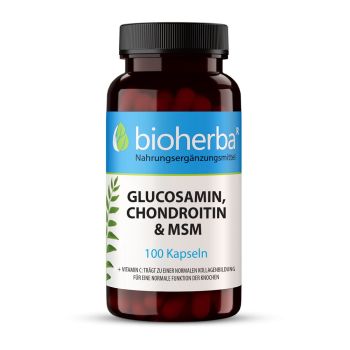 GLUCOSAMIN, CHONDROITIN & MSM 100 Kapseln Bioherba Nahrungsergaenzungsmittel 
