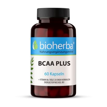 BCAA PLUS 60 Kapseln Bioherba Nahrungsergaenzungsmittel 