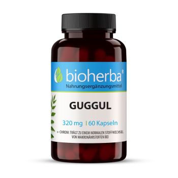 GUGGUL 320 mg 60 Kapseln Bioherba Nahrungsergaenzungsmittel 