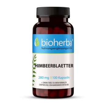 HIMBEERBLAETTER 280 mg 100 Kapseln Bioherba Nahrungsergaenzungsmittel