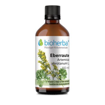Eberraute, Artemisia abrotanum L., Tropfen, Tinktur 100 ml online kaufen, besten Preis, Bioherba Reichenbach GmbH