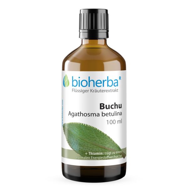 Buchu (Agathosma betulina) Damla Tentürü 100 ml