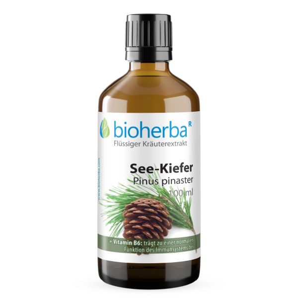 Deniz Çamı (Pinus pinaster) Damla Tentürü 100 ml