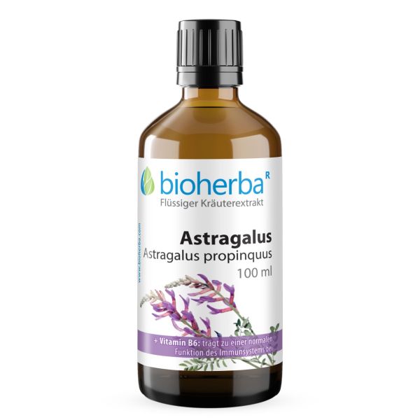 Astragalus Astragalus propinquus Damla Tentürü 100 ml