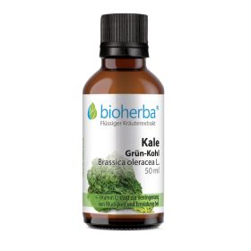 Kale Grün-Kohl, Brassica oleracea L., Tropfen, Tinktur 50 ml online kaufen, besten Preis, Bioherba Reichenbach GmbH