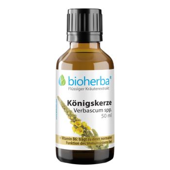 Königskerze, Verbascum spp., Tropfen, Tinktur 50 ml online kaufen, besten Preis, Bioherba Reichenbach GmbH