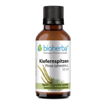 Kiefernspitzen, Pinus sylvestris L., Tropfen, Tinktur 50 ml online kaufen, besten Preis, Bioherba Reichenbach GmbH