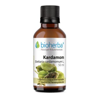 Kardamom, Elettaria cardamomum L., Tropfen, Tinktur 50 ml online kaufen, besten Preis, Bioherba Reichenbach GmbH