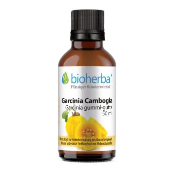 Garcinia Cambogia, Garcinia gummi-gutta, Tropfen, Tinktur 50 ml online kaufen, besten Preis, Bioherba Reichenbach GmbH