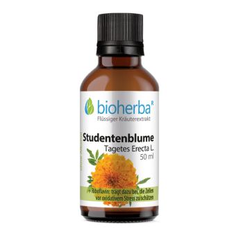 Studentenblume, Тagetes Erecta L., Tropfen, Tinktur 50 ml online kaufen, besten Preis, Bioherba Reichenbach GmbH