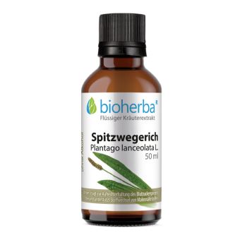 Spitzwegerich, Plantago lanceolata L., Tropfen, Tinktur 50 ml online kaufen, besten Preis, Bioherba Reichenbach GmbH