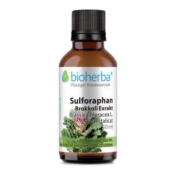 Sulforaphan Brokkoli Exrakt Tropfen, Tinktur 50 ml online kaufen, besten Preis, Bioherba Reichenbach GmbH
