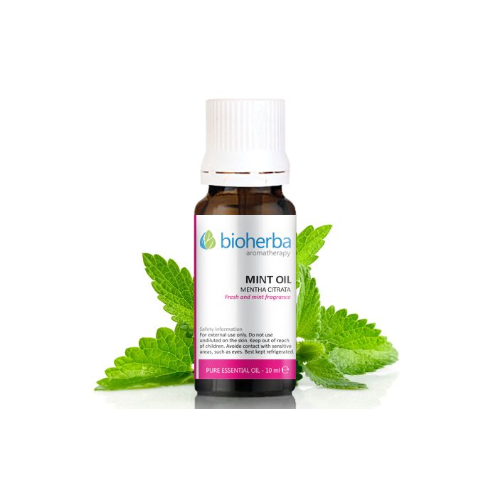 Mint Oil Mentha Citrata 10ml Bioherba Essential Oil