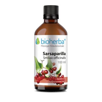 SARSAPARILLA Smilax officinalis L.,