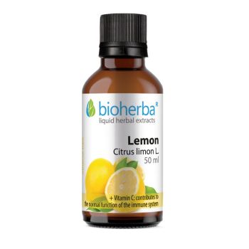 LEMON Citrus limon L.,