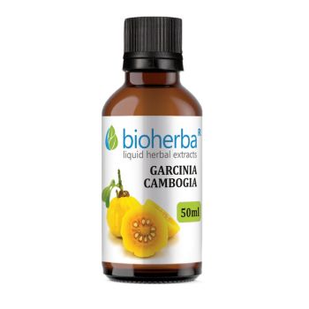 GARCINIA CAMBOGIA, Bioherba, liquid, herbal, extract, tincture, weight loss, obesity, healthy weight, detox