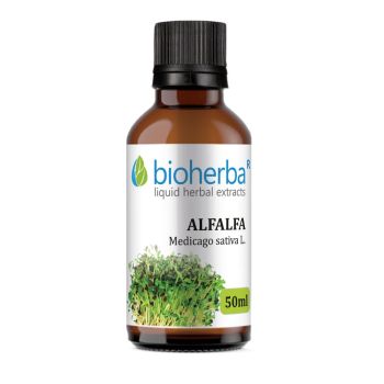 ALFALFA, Medicago sativa L., Bioherba, liquid, herbal, extract, tincture, anemia, iron, pituitary gland, circulatory, nervous, cardiovascular, digestive, system