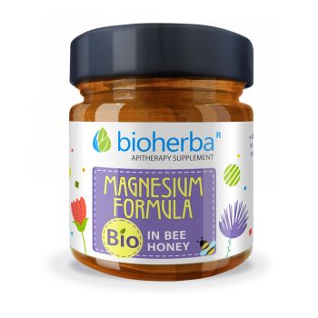 MAGNESIUM FORMULA IN BEE HONEY, 280 g