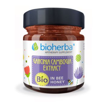 GARCINIA CAMBOGIA EXTRACT IN BEE HONEY, 280 g