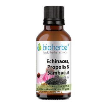 ECHINACEA, PROPOLIS & SAMBUCUS