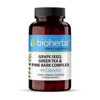 GRAPE SEED, GREEN TEA & PINE BARK COMPLEX 60 capsules