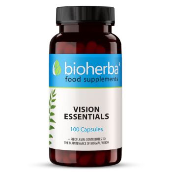 VISION ESSENTIALS 100 capsules 