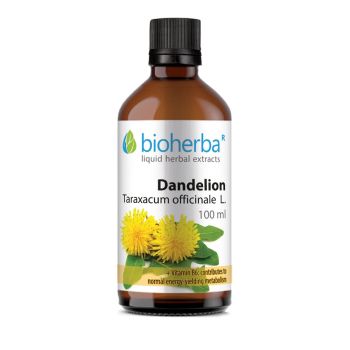 DANDELION Taraxacum officinale L.,