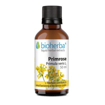 PRIMROSE Primula veris L., 50 ml tincture 